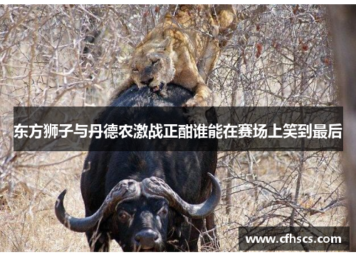 东方狮子与丹德农激战正酣谁能在赛场上笑到最后