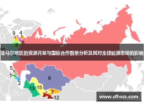 亚马尔地区的资源开发与国际合作前景分析及其对全球能源市场的影响